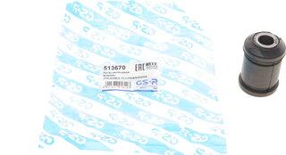 GSP 513670