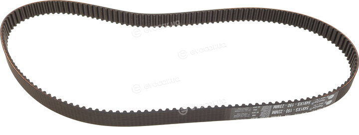 Gates K075491XS