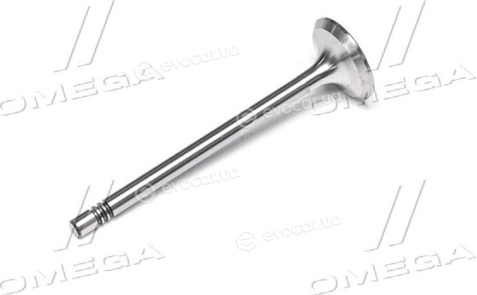 Gunes 6035