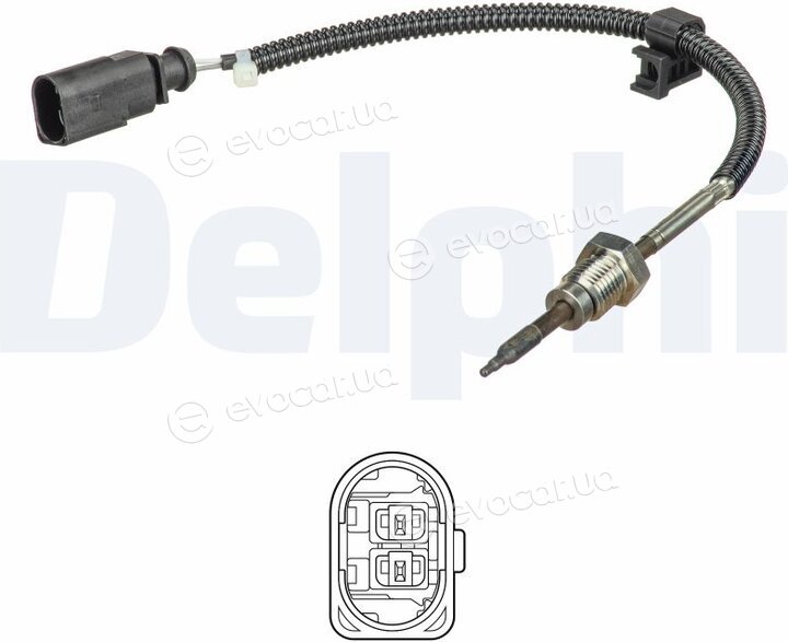 Delphi TS30258