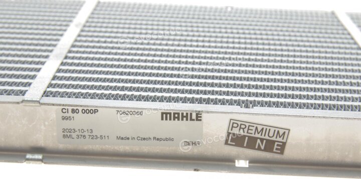 Mahle CI 80 000P