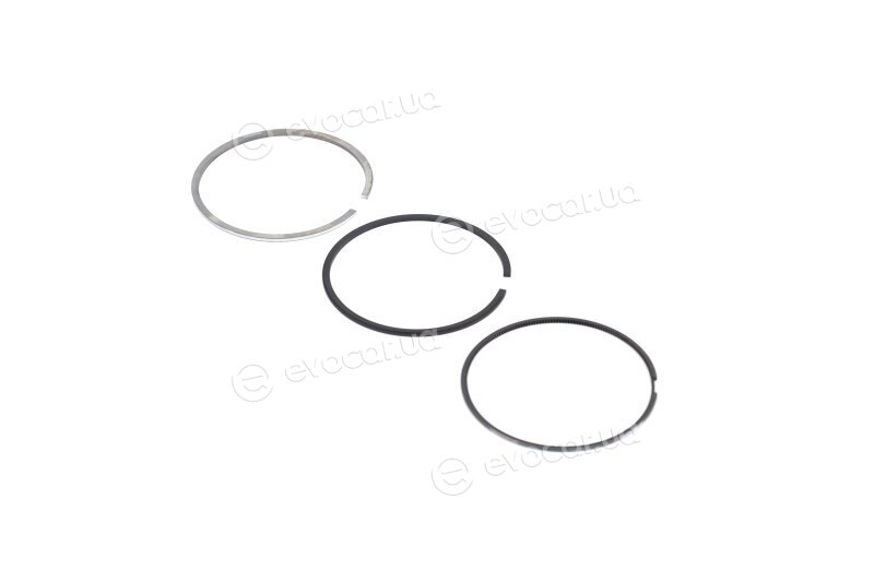 Mahle 009 81 N0