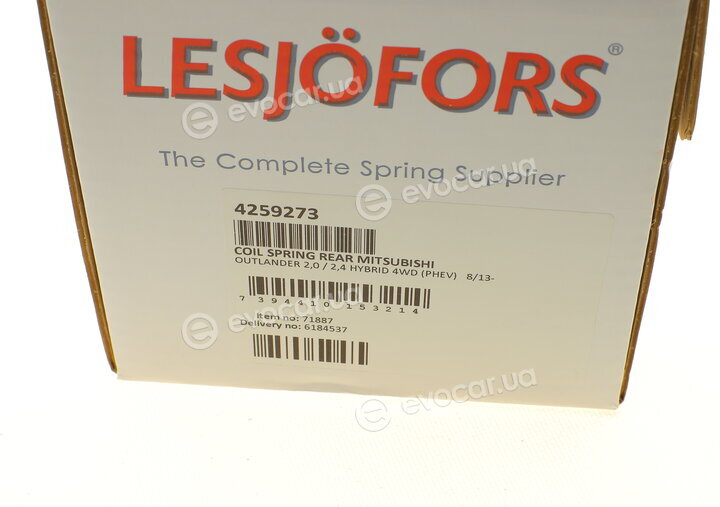 Lesjofors 4259273
