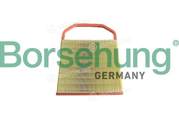 Borsehung B13051
