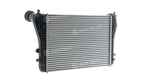 Mahle CI 161 000P