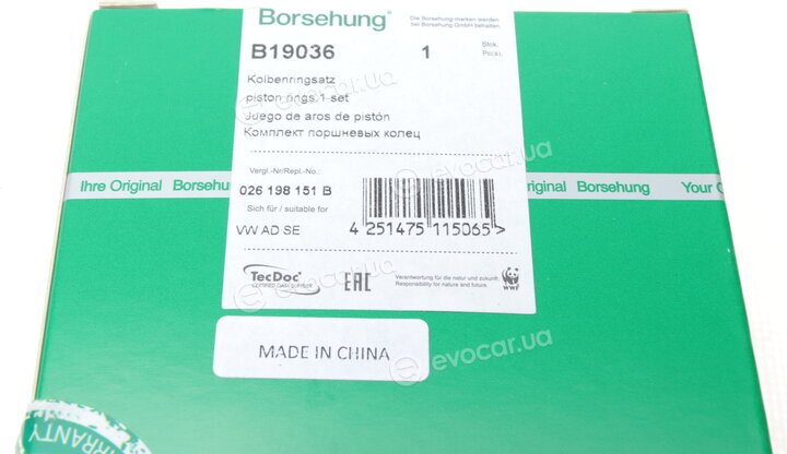 Borsehung B19036