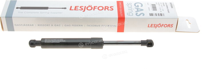Lesjofors 8095806