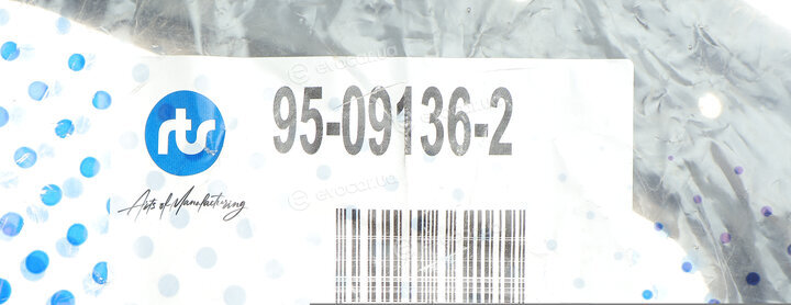 RTS 95-09136-2