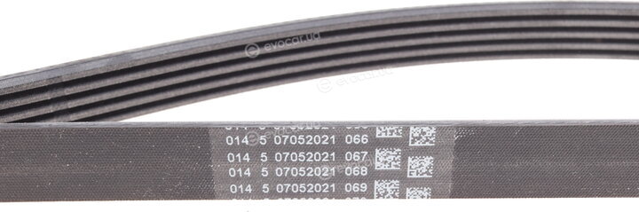 Continental 5PK2020
