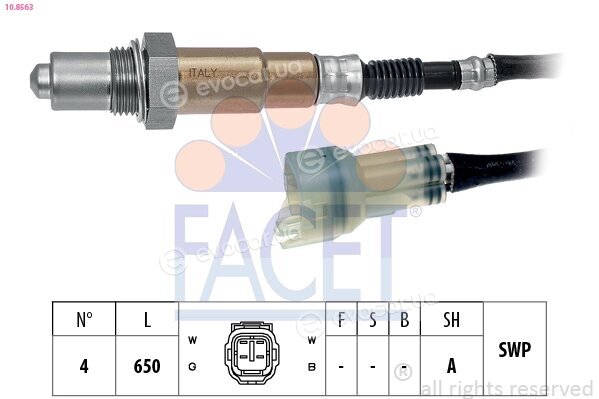 Facet 10.8563