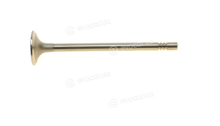 AMP PFOR059-S-0-N