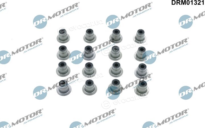 Dr. Motor DRM01321