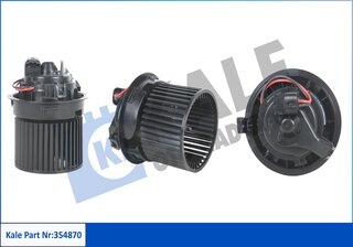 Kale 354870