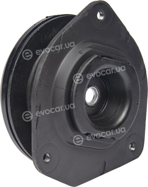 Raiso RC02449