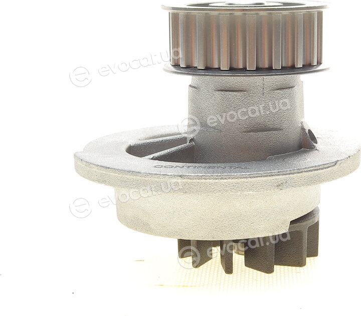 Continental CT874WP5