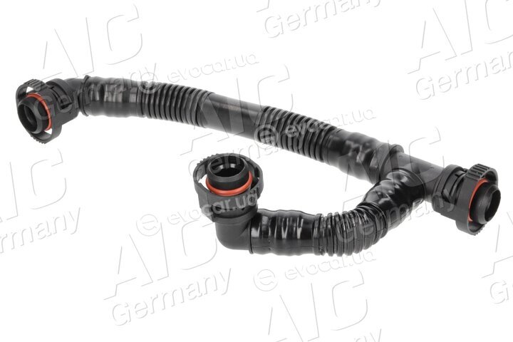 AIC 55543
