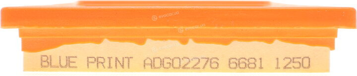 Blue Print ADG02276