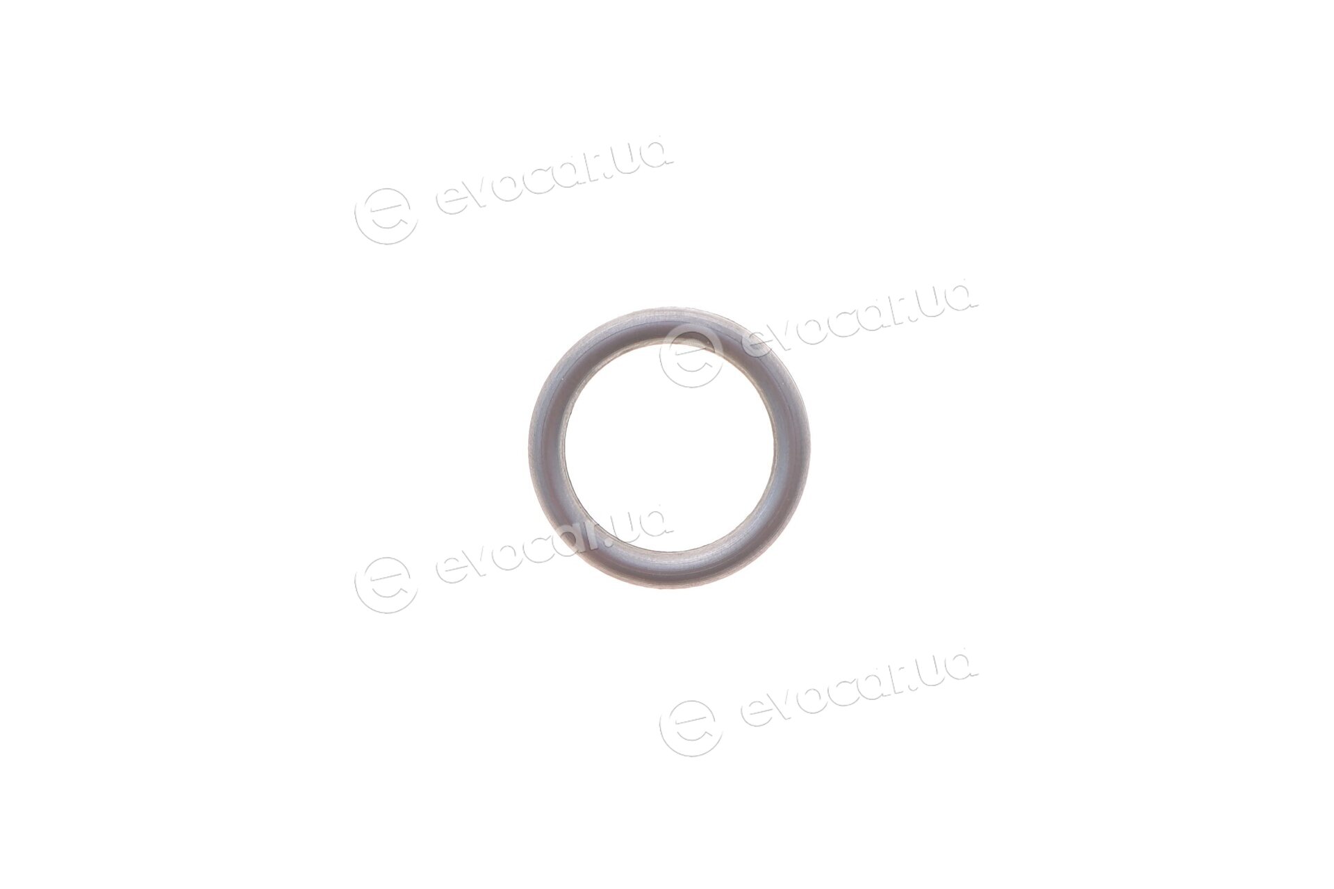 Elring 569.390