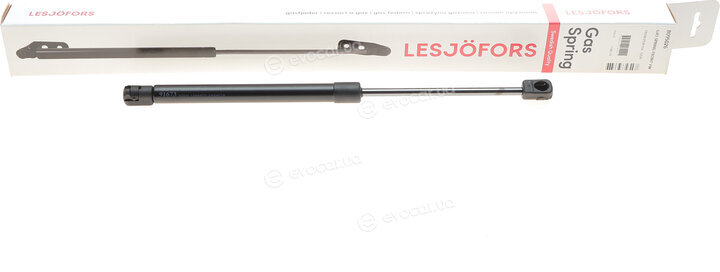 Lesjofors 8095026