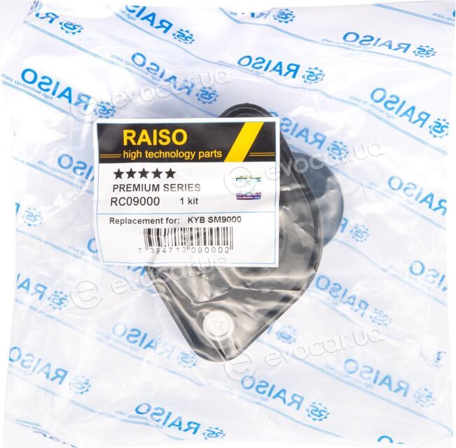 Raiso RC09000