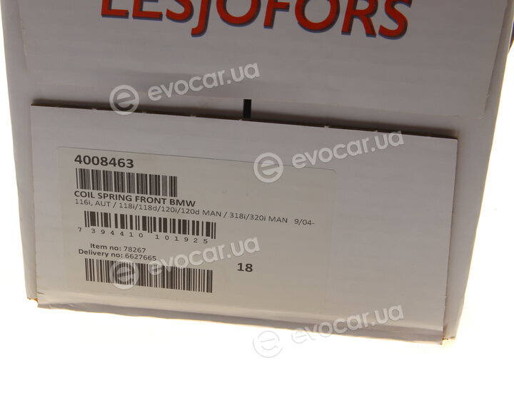 Lesjofors 4008463