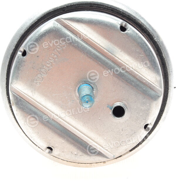 Borsehung B12233