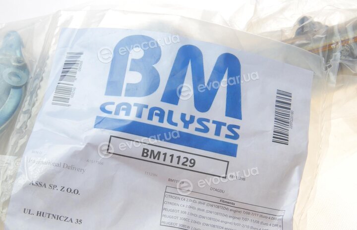 BM Catalysts BM11129