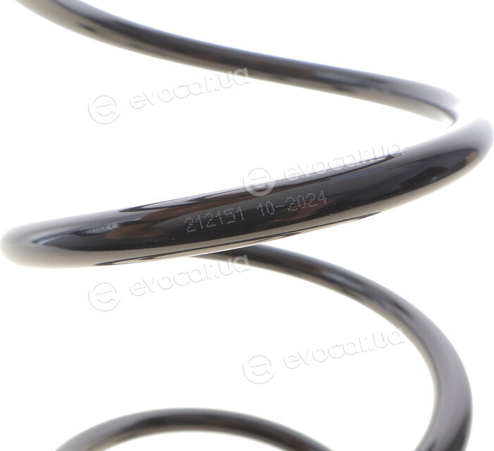 Solgy 212151