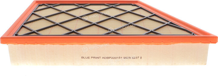 Blue Print ADBP220151