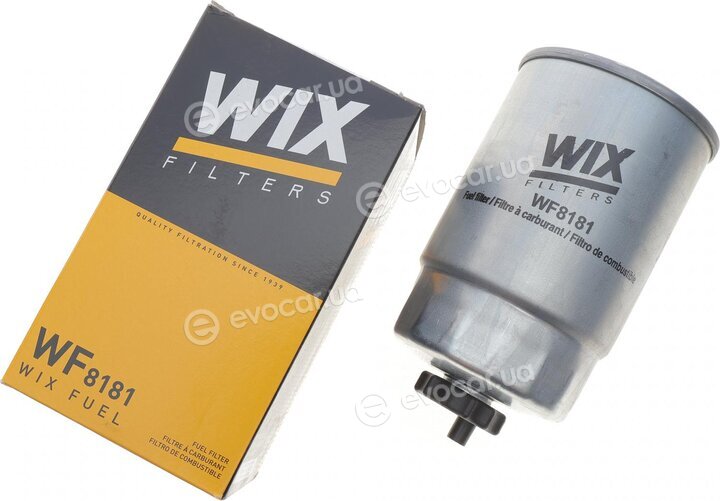 WIX WF8181