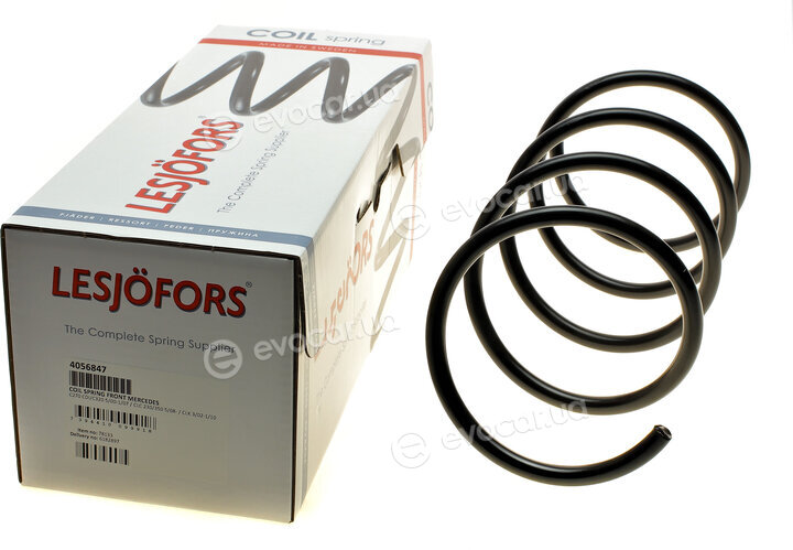 Lesjofors 4056847