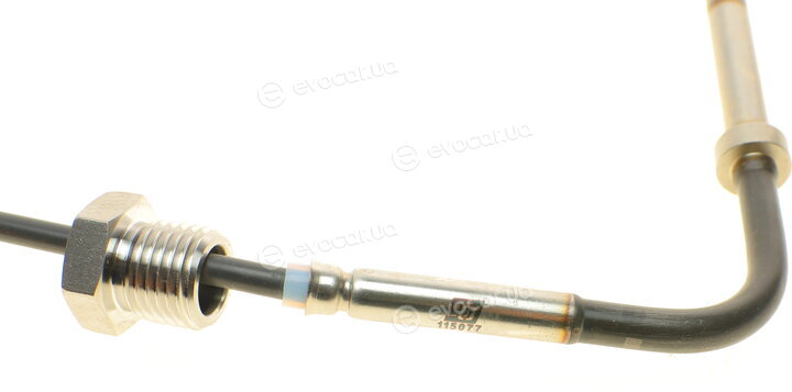 Solgy 115077