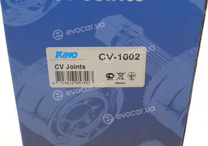 Kavo CV-1002