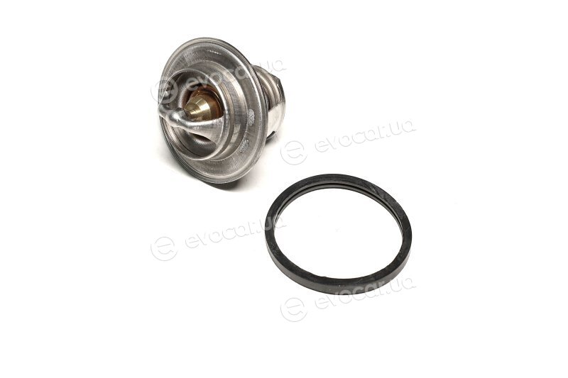 Sasic 9000389
