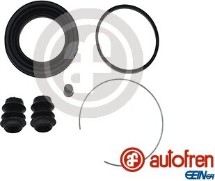 Autofren D4919