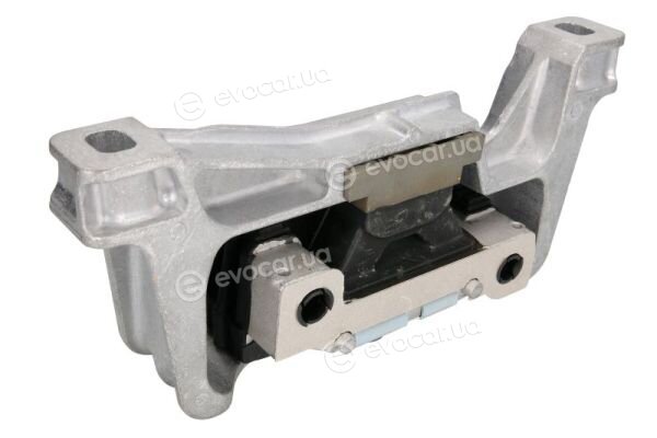 Reinhoch RH11-3060