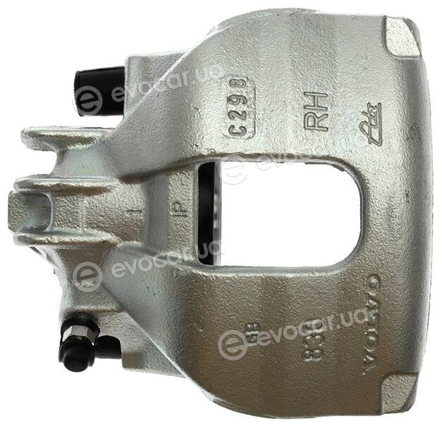 Starline PB BT473