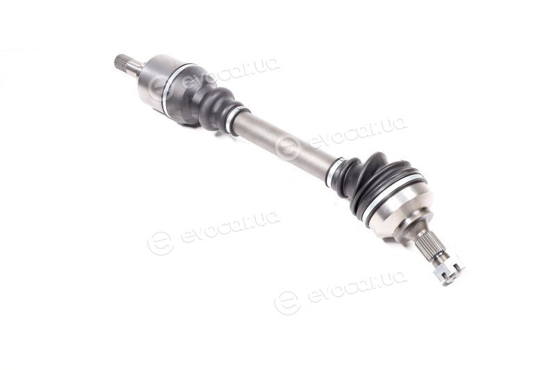 Magneti Marelli 302004190087