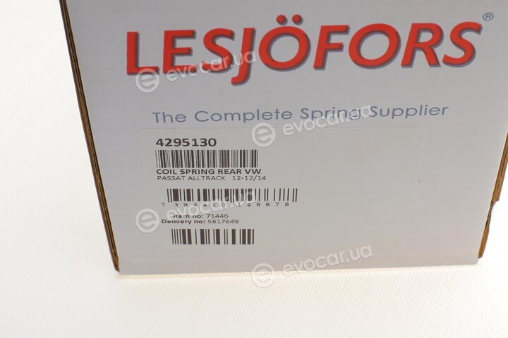 Lesjofors 4295130