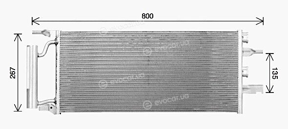 AVA BW5607D