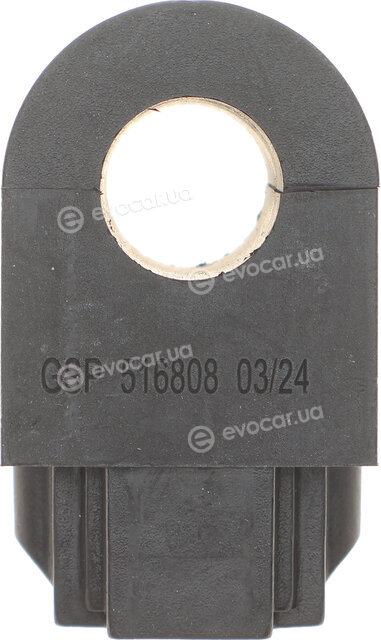 GSP 516808