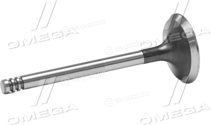 Gunes 6003