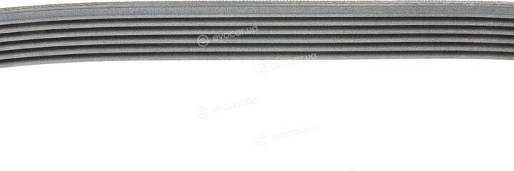 Continental 6PK1042 ELAST
