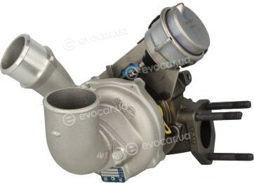 BorgWarner 53039880145