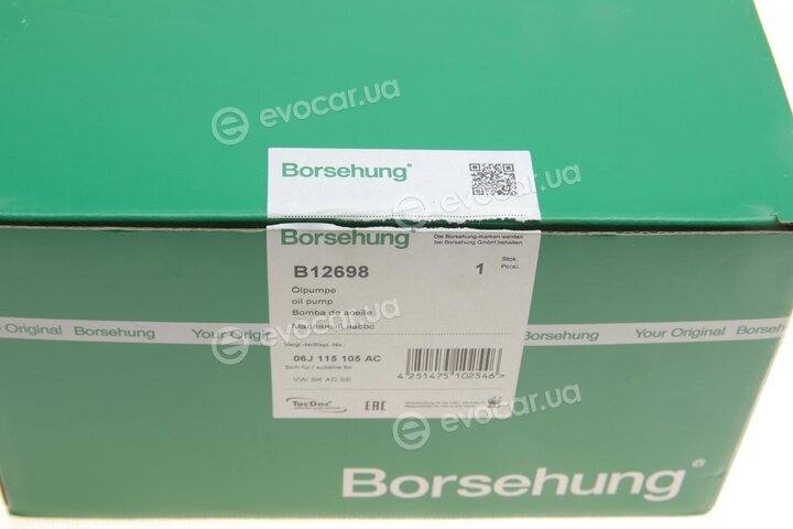 Borsehung B12698