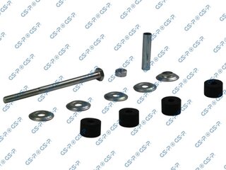 GSP 513355