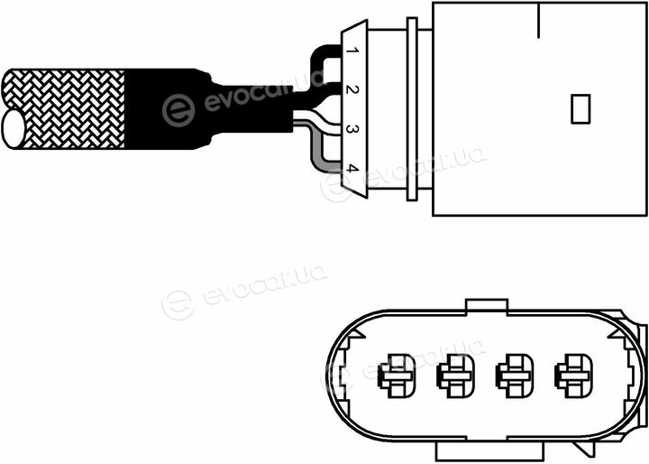 Delphi ES10981-12B1