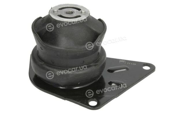 Reinhoch RH11-0077