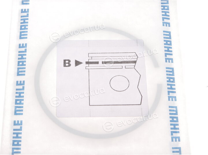 Mahle 030 31 N0