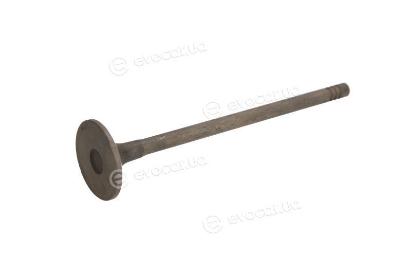 Freccia R6917/RNT